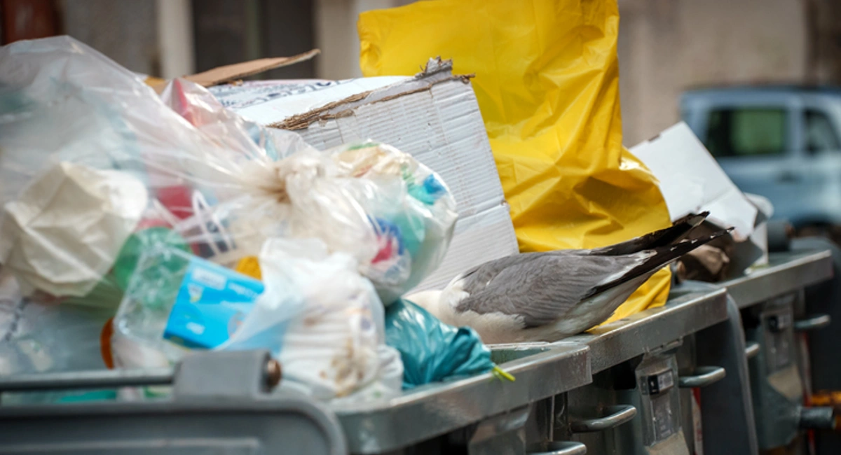 trash bins