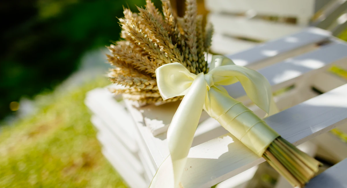 Cornstalk bundle used for decoration
