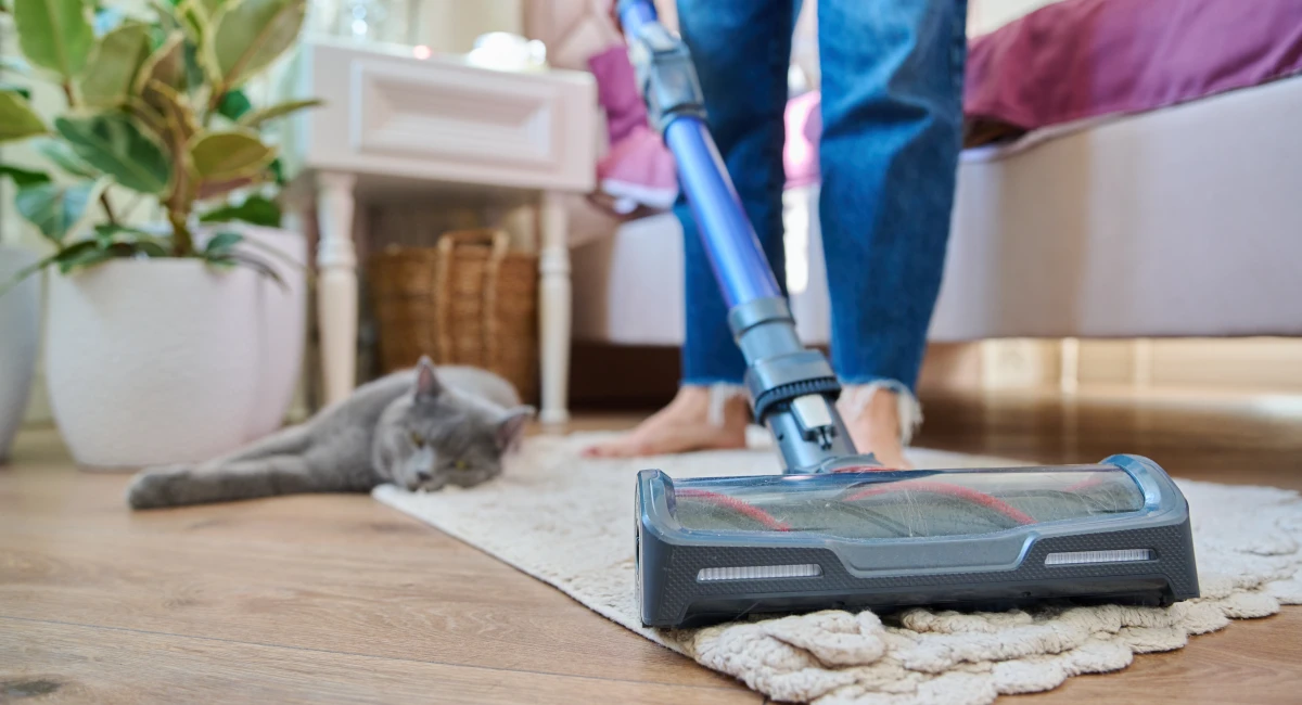 woman vacuuming rug during sunset next to dog