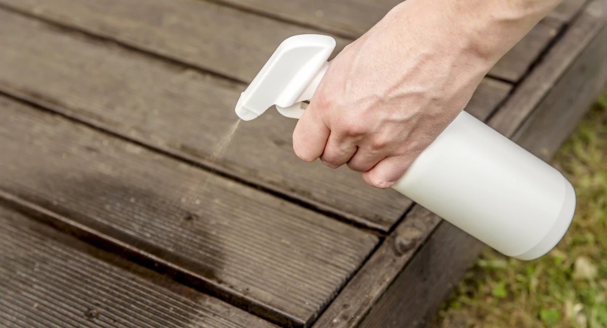 Home-made ant repellent spray