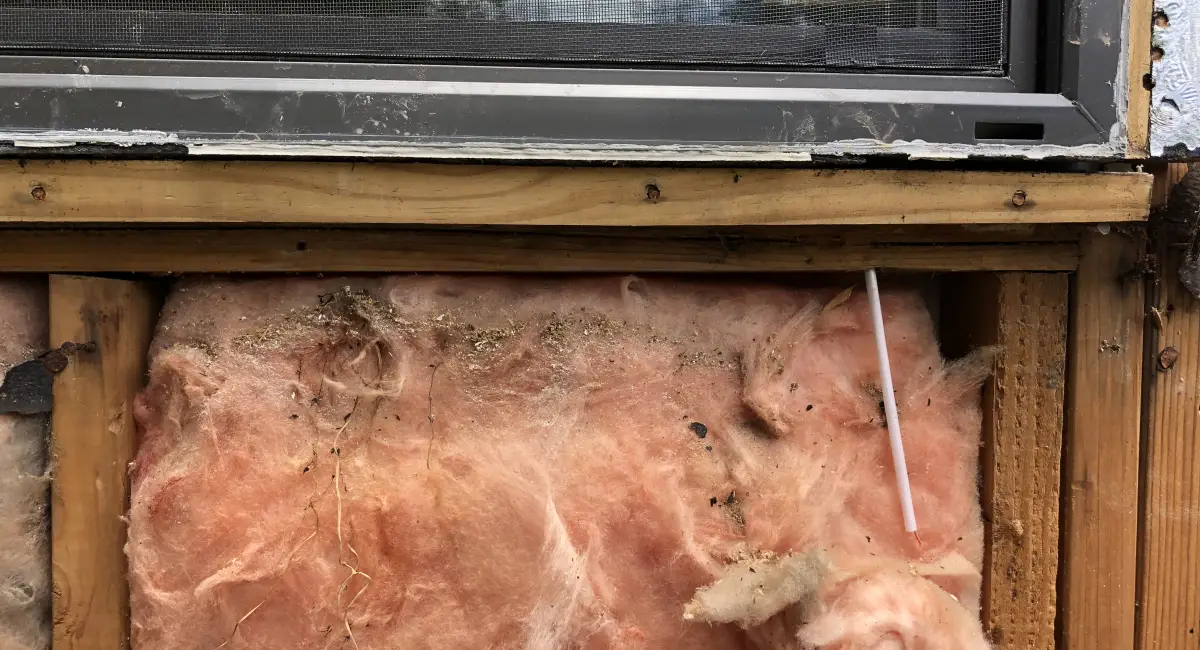 Rotted wood and insulation damaged by water on a home