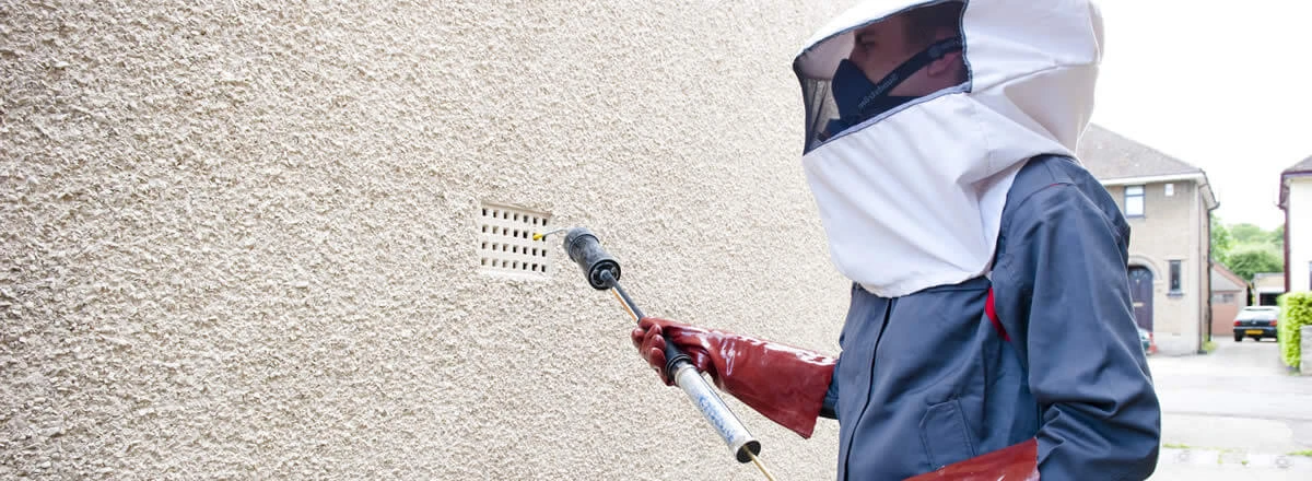 wasp nest removal