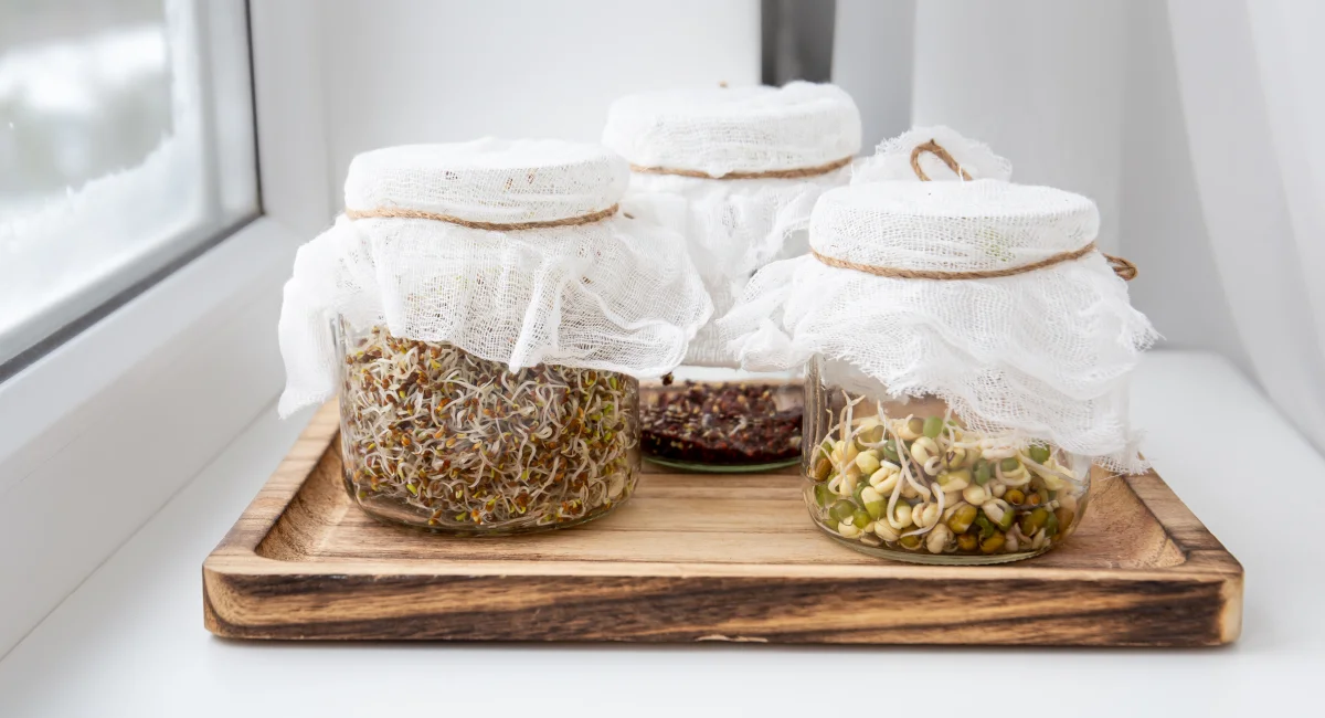 Empty pantry completely and inspect for signs of pests.