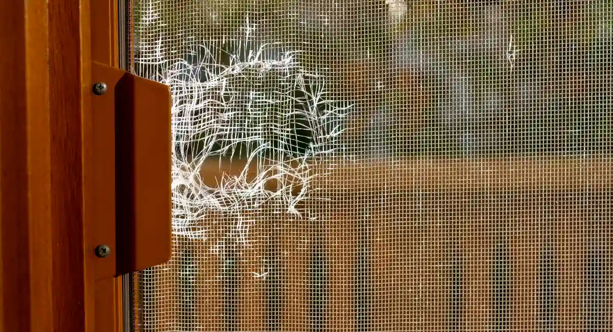 torn window screen