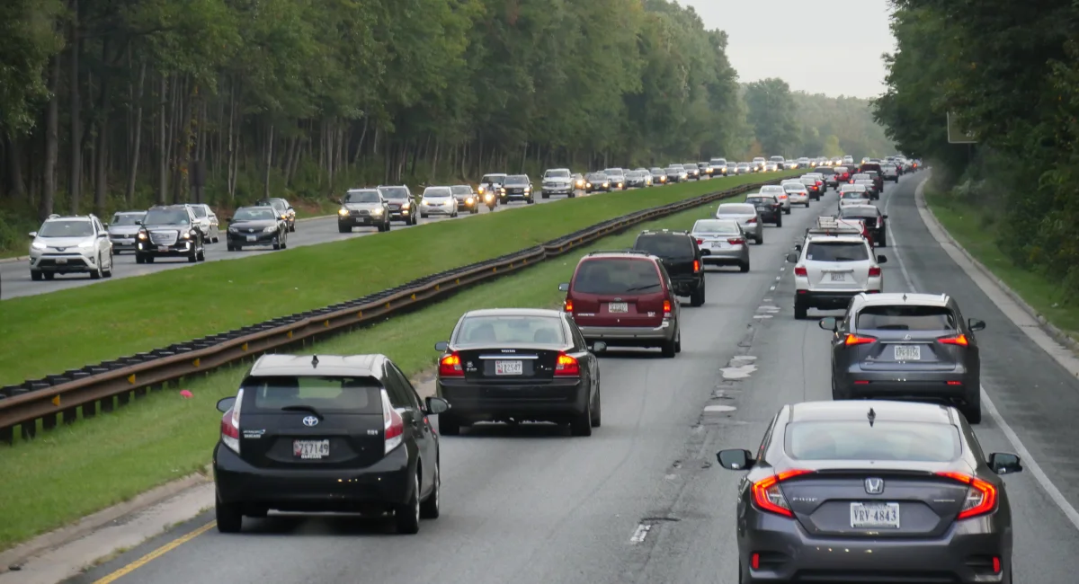 Ants can be a dangerous distraction when driving at high speed or in heavy traffic