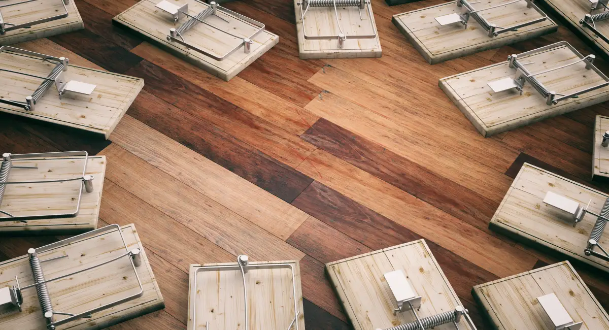 Multiple mousetraps on wooden floor in the form of a circle